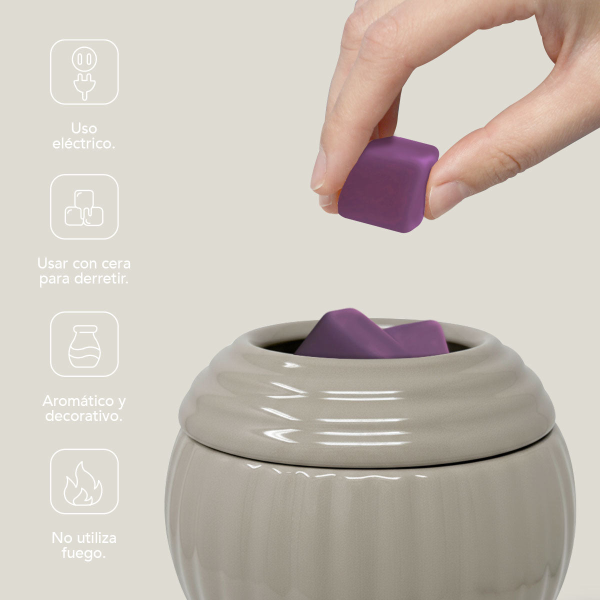 Calentador de Cera Grafito