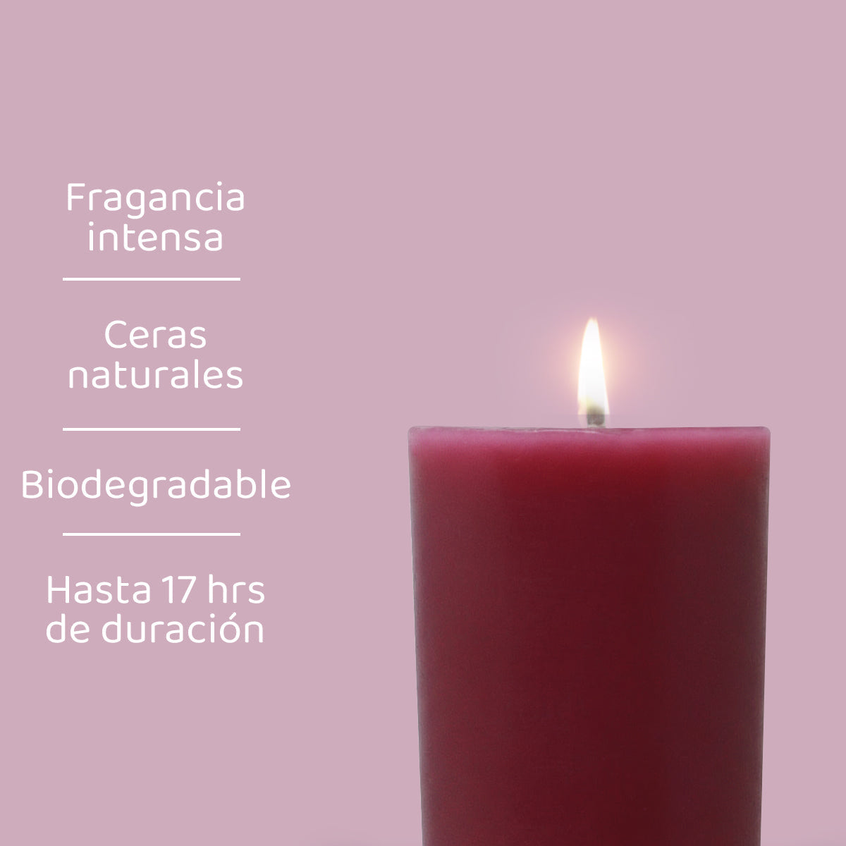Vela Votiva Aromática 32 Pzas Frambuesa Negra