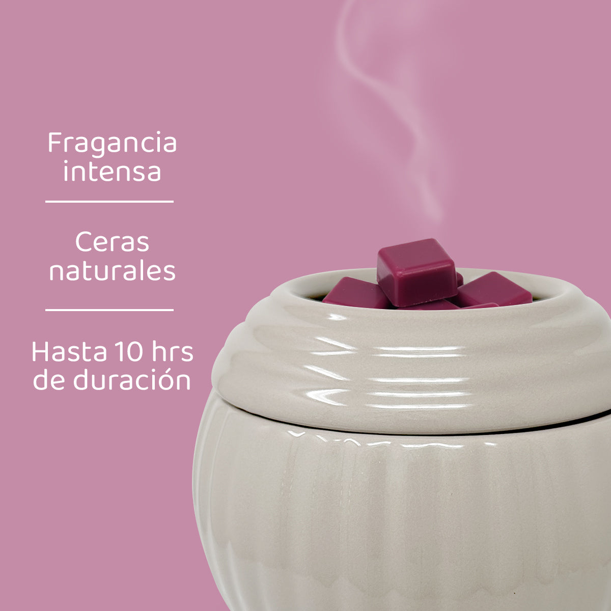 Cubos de Cera Frambuesa Negra