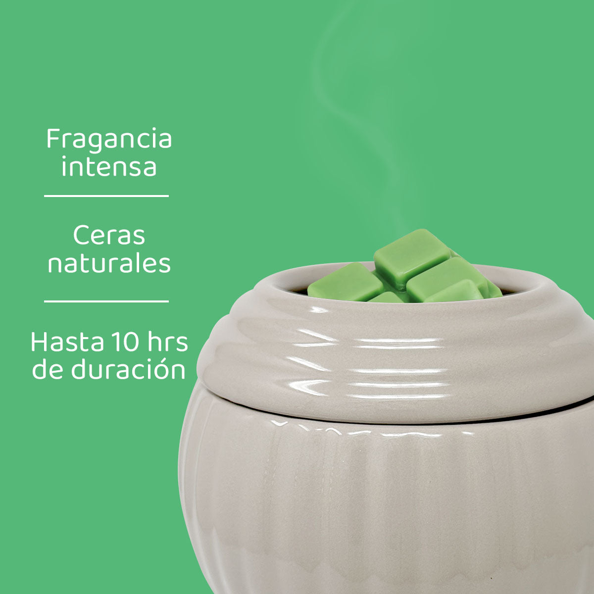 Cubos de Cera Valle Encantado