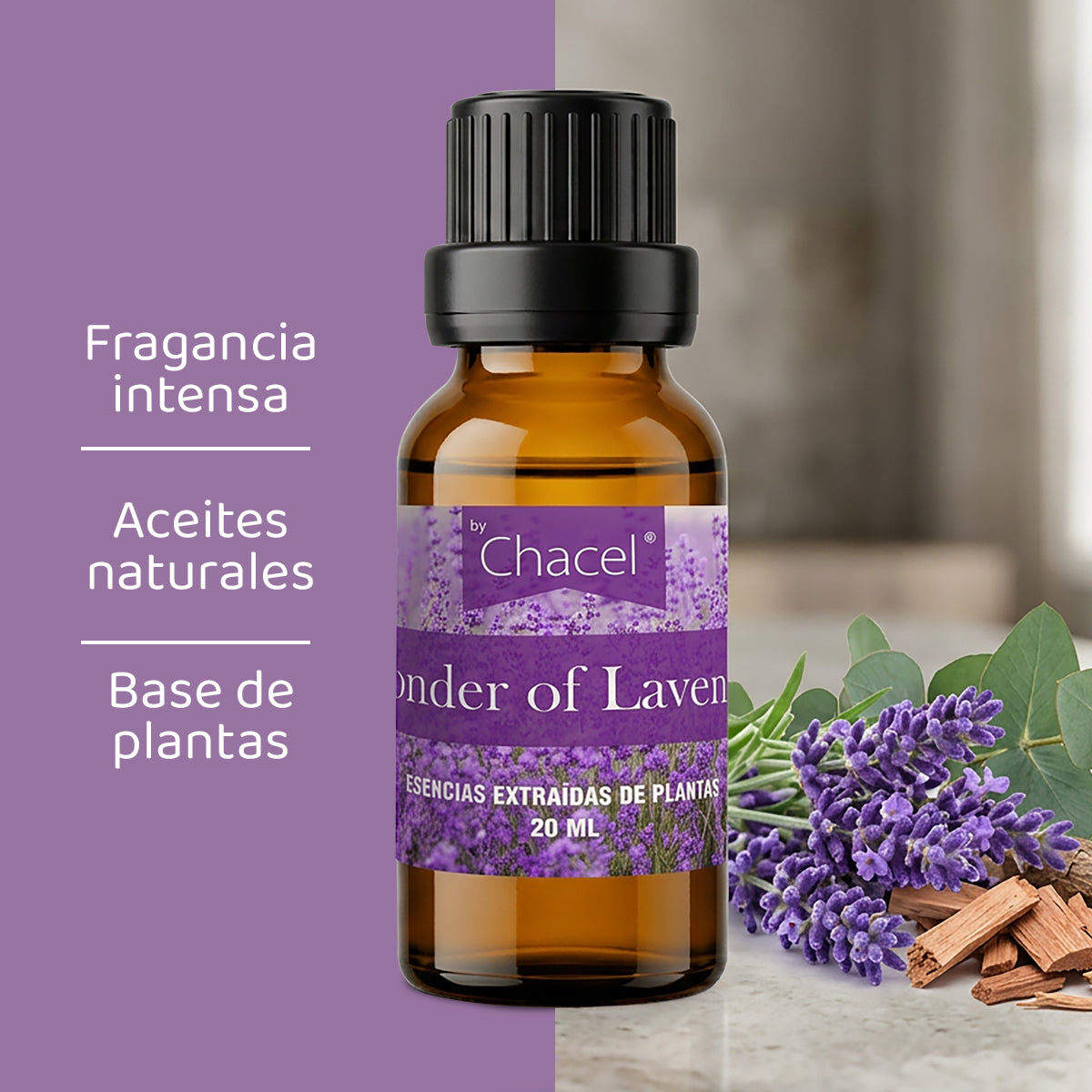 Wonder of Lavender